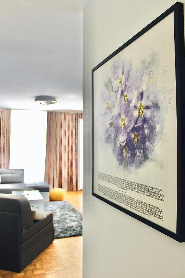 Apartament Ramonda - New Belgrad Zewnętrze zdjęcie
